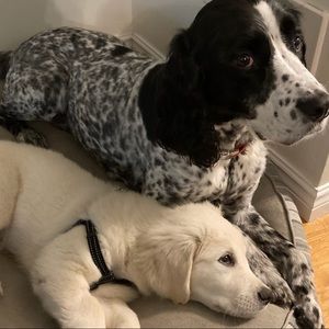 Meet your Posher, Matt